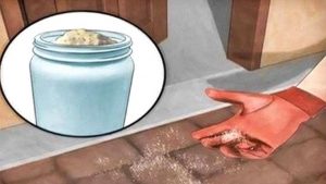 Razones de porqué deberías esparcir sal por toda tu casa