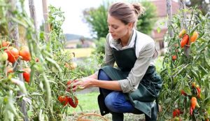 mujer trabaja en e jardin