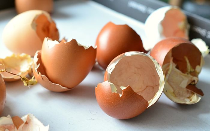 9 razones por las que no deberías tirar tus cáscaras de huevo