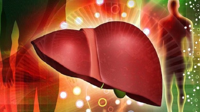 9 cosas increíbles que tu hígado puede hacer sólo si está sano