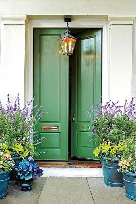 puerta principal color verde