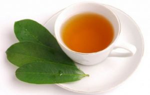té de hojas de guanábana