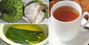 té de hojas de guanábana preparación