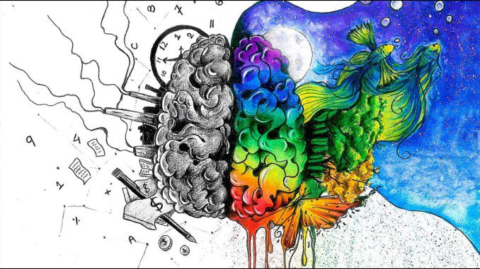 Cerebro izquierdo y derecho: qué hemisferio te domina y cómo equilibrarlos