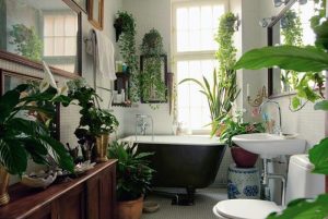 Las 5 mejores plantas para el baño y por qué deberías tenerlas