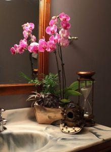 orquídeas en el cuarto de baño