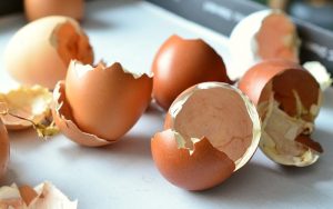 9 razones por las que no deberías tirar tus cáscaras de huevo