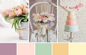 paleta de cores